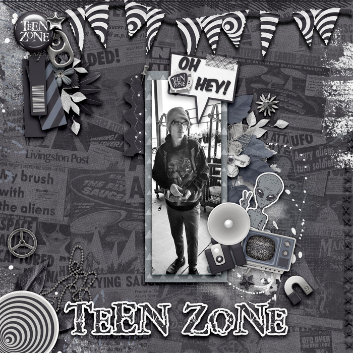 ponytails-theteenzone