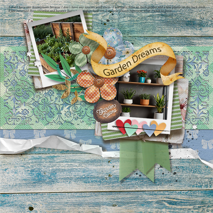 sweet_shoppe_2024_05_garden