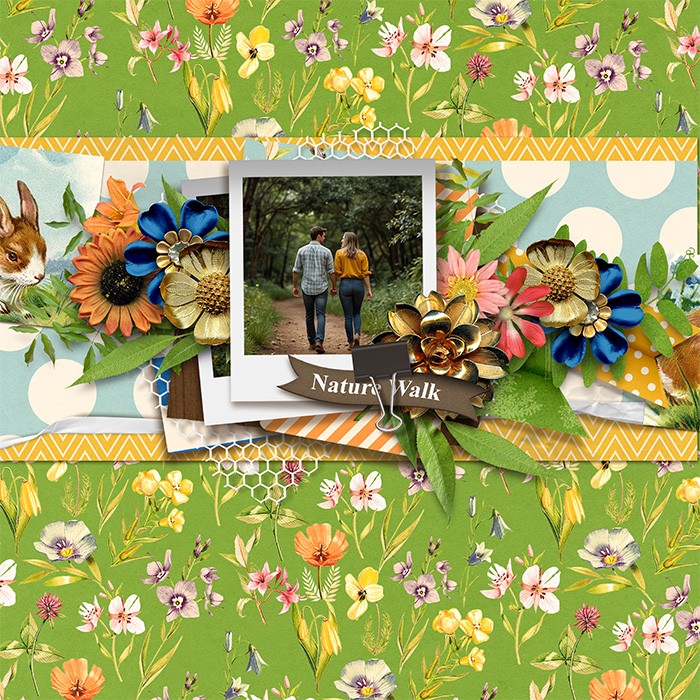 sweet_shoppe_2024_06_trail