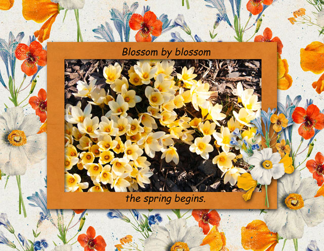 the-spring-begins