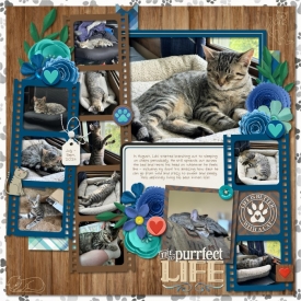091024_Nap_life_-_Page_002_700.jpg