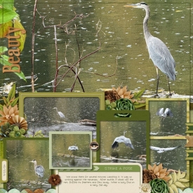 092224_Wildlife_-_Page_002_700.jpg