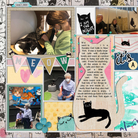 2022-6-1-cat-cafe.jpg