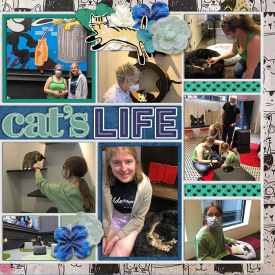 2022-6-1-cat-cafe2.jpg