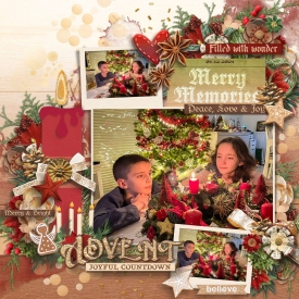Advent_Joyful_Countdown1.jpg