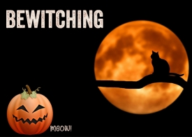 BEWITCHING2.jpg