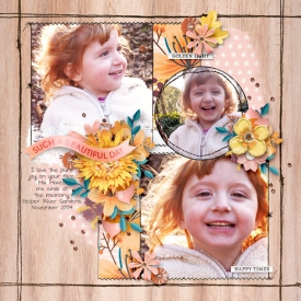 Beautiful-Day15.jpg