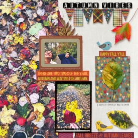 CMGfallvibes_web700.jpg