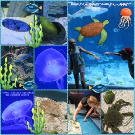 CYOA-June_2024-In_the_Spotlight-Fish_Kits_for_Aquarium_Month.jpg