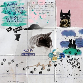 Cats_700-700.jpg