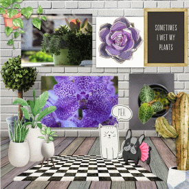 In-The-Spotlight-Houseplant-Appreciation-Day.gif