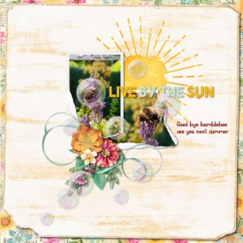 Live_by_the_sun700-700.jpg