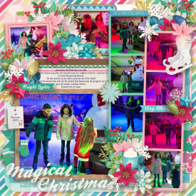 Magical_Christmas_at_the_ice_rink_gallery_1_.jpg