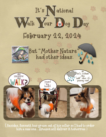 National-Walk-Your-Dog-Day.jpg
