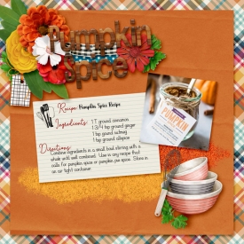 Pumpkin-Spice5.jpg