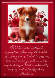 RED3.jpg