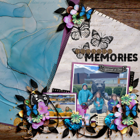 SD-MakingYourMemories-LEA.jpg