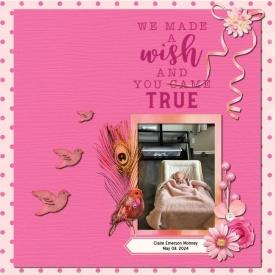 Sweet_Made_Challenges_Pink_page.jpg
