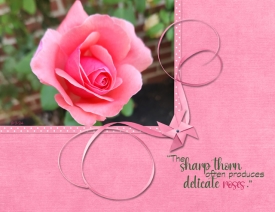 The-Sharp-Thorn.jpg
