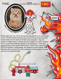 WHAT-WOULD-YOU-GRAB-IN-A-FIRE.jpg