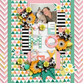 alchemywildstudio-freeasabird-LEA.jpg