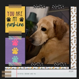 ayi_acupwithmypup_LO-copy.jpg
