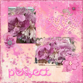 pink-only.gif