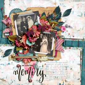 tnp-MEMORYMAKER-Bundle-LeaLO1.jpg