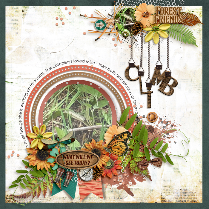 tnp-FLOWERFANCY-cherylLO1