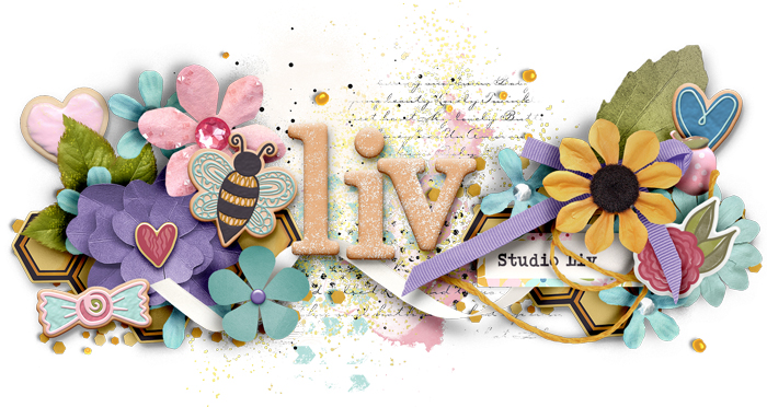 2024-08_Siggie_Hey-Sugar_WEB