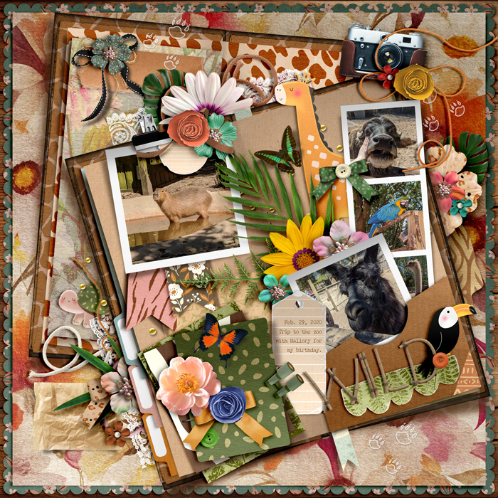 2020-02-29_Wild_WEB