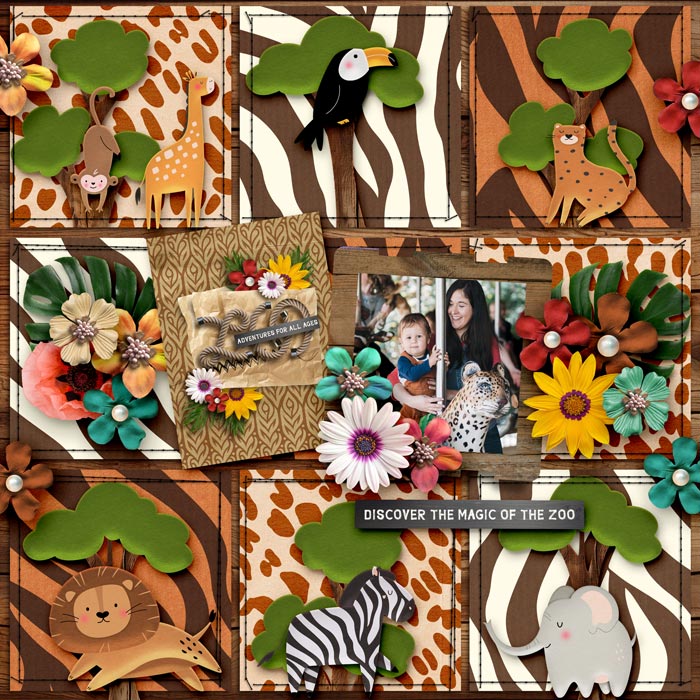 Gallery-SD-Adventurous-Savanna
