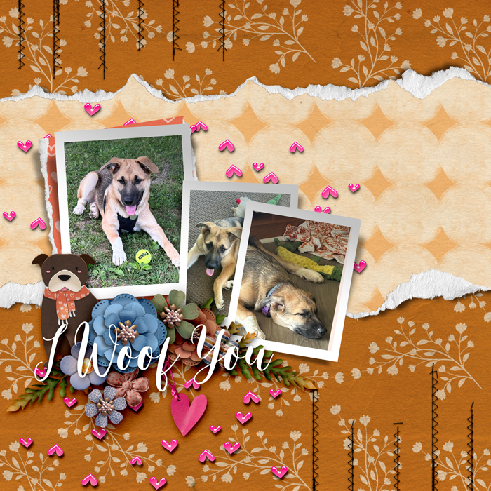 Gallery-SD-HomeSweetFall