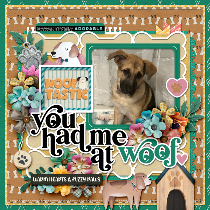 Gallery-You-Had-Me-at-Woof