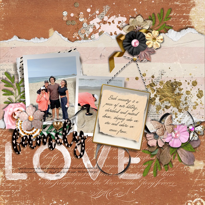 SD-GatheredMemories-Trish-LO1