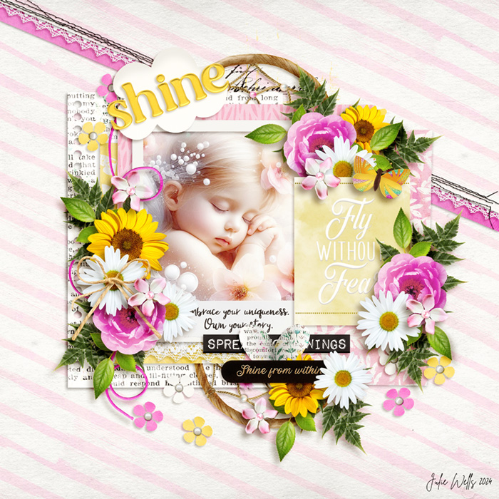 SDD_shine