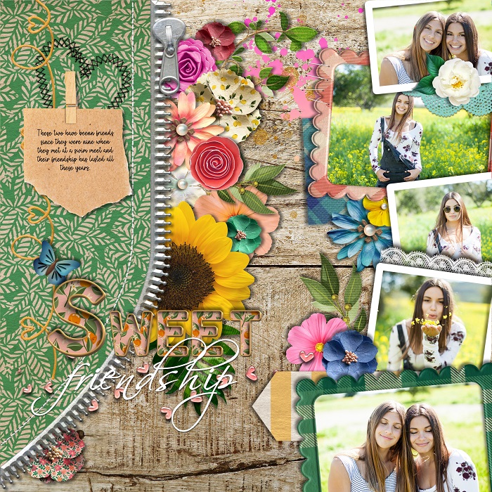 SWEET_FRIENDSHIP