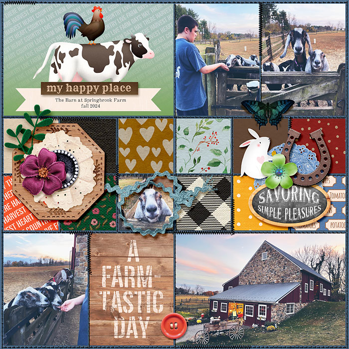 Sweetdollfarmtifuldays_web700