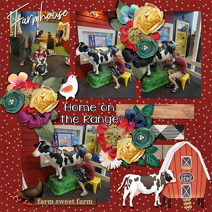 boys-tampa-museum-farm