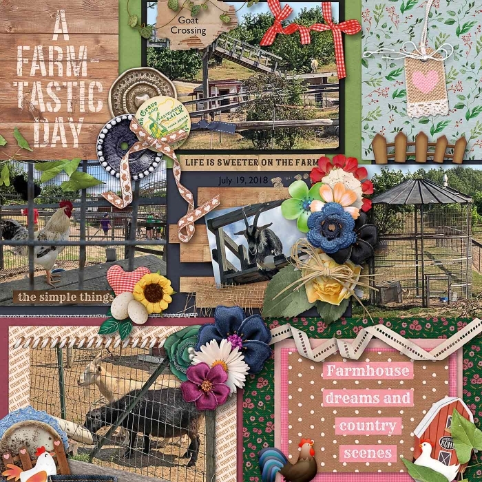 Farm Animals at the Orchard