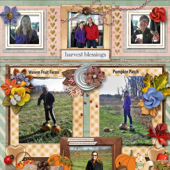 Harvest Blessings in 2015