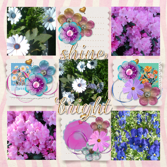 scraplift_page