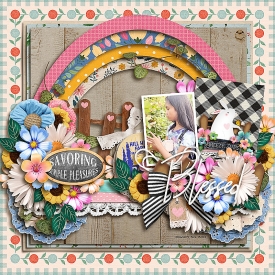 SD-Farm-tifulDays-scrappydonna-ssd.jpg
