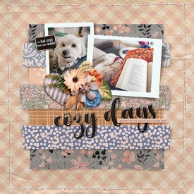 SD_Homesweetfall_StayCozy-temp-ck01-kopiera.jpg