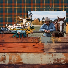 SD_rideoncowboy-ck01-kopiera.jpg