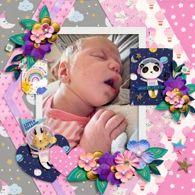 SweetDoll_DreamBigLO-Aprilisa_PicturePerfect304-ck01-kopiera.jpg
