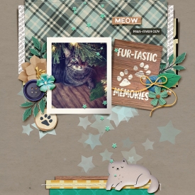 Sweetdollsnugglebuddies_web.jpg