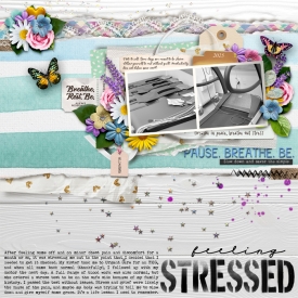 feelingstressedWEB.jpg