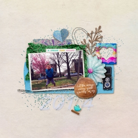 sweetdollaparkdaybliss_web700.jpg