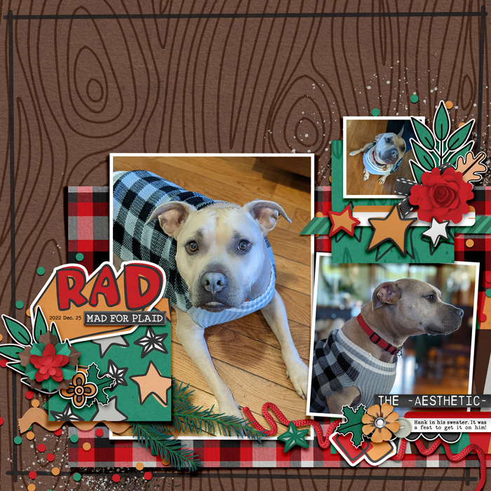 2022-12-23_Rad_Hank_WEB